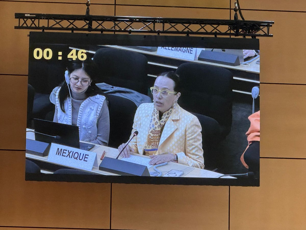 MisionMexOI's tweet photo. En el marco de la 52ª sesión del EPU, la Embajadora @FranciscaE_ME presentó recomendaciones constructivas a Estonia🇪🇪, reafirmando el compromiso 🇲🇽 con el diálogo y la cooperación internacional. El #EPU es un mecanismo clave para la promoción y protección de los derechos humanos. https://t.co/iAkPTo1TqX