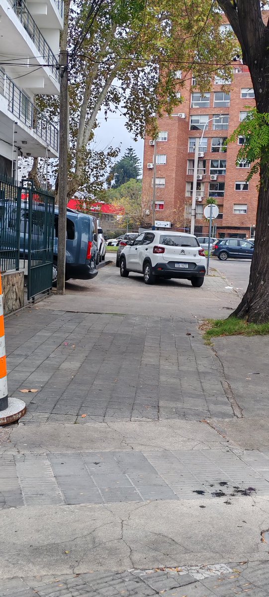 gastongarcia4's tweet photo. Vas caminando por las veredas de Montevideo con tu madre con bastón y poco movimiento y tenes que esquivar autos. https://t.co/koJ2zRPrhF