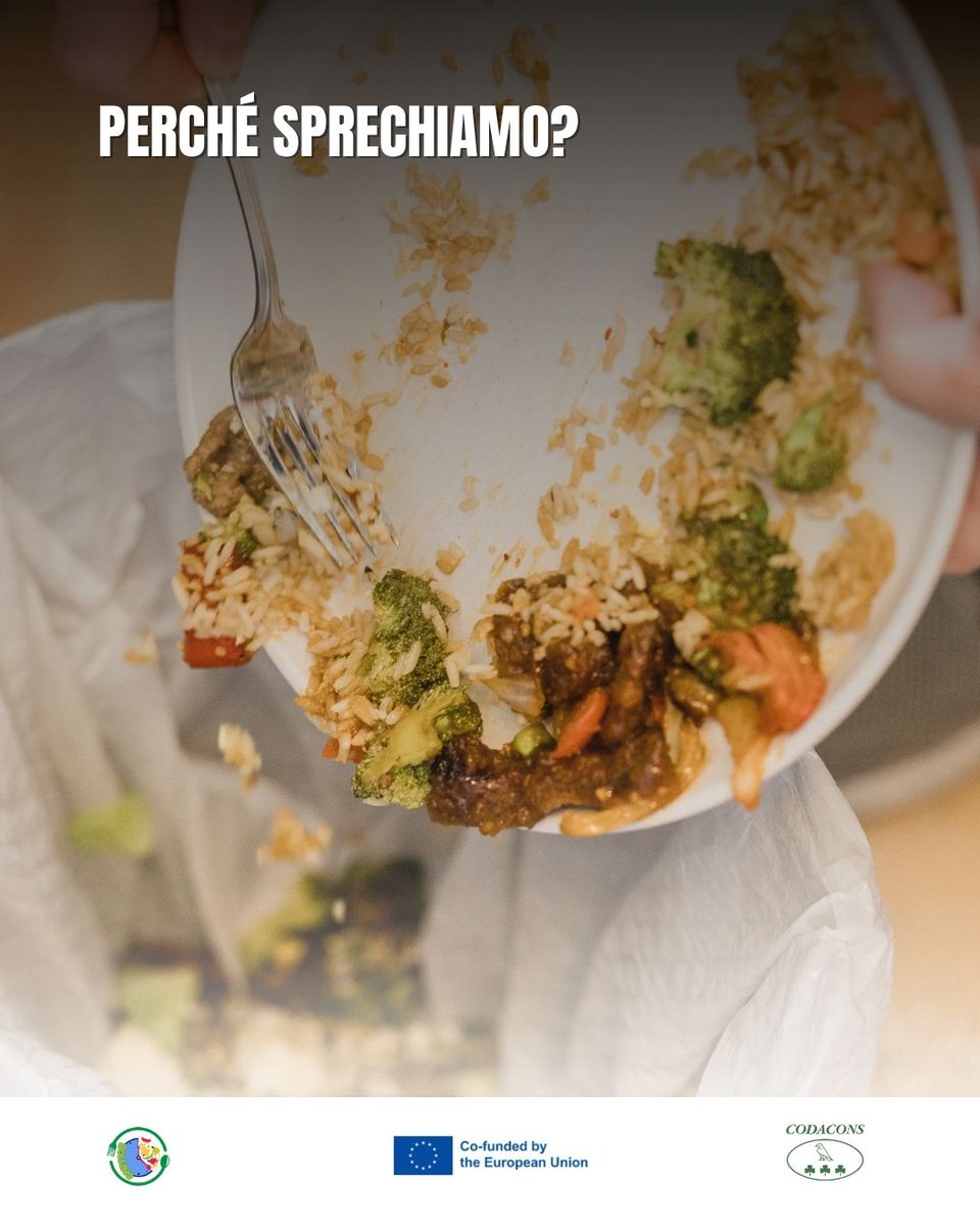 Codacons's tweet photo. Spreghiamo per acquisti impulsivi, scarsa conservazione e poca pianificazione.  Piccoli cambiamenti = grande impatto.

#Bollino #FoodWaste #Sostenibilità https://t.co/YLpW2Du88U