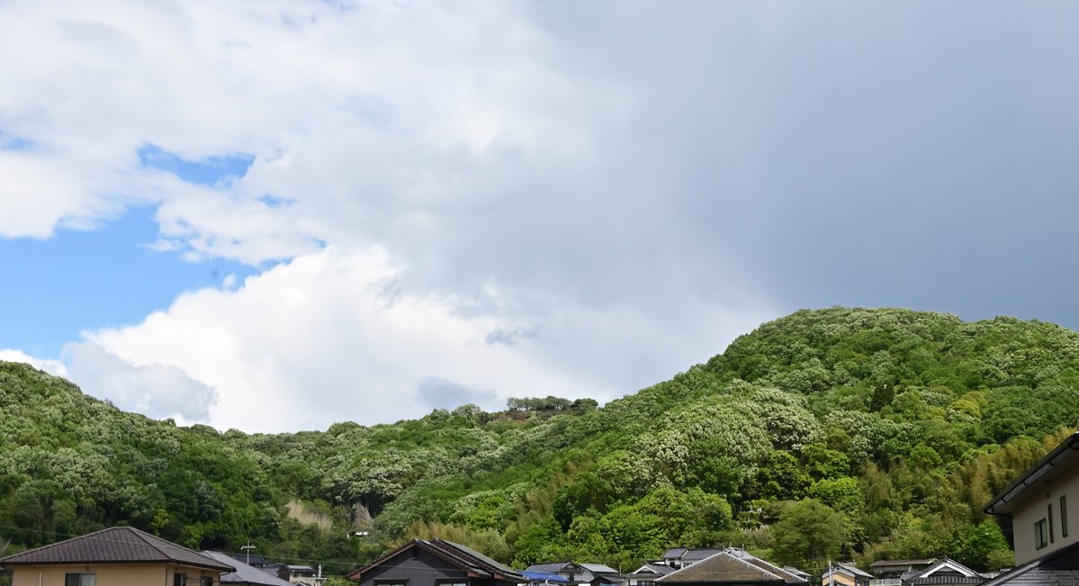 コウキ tweet media