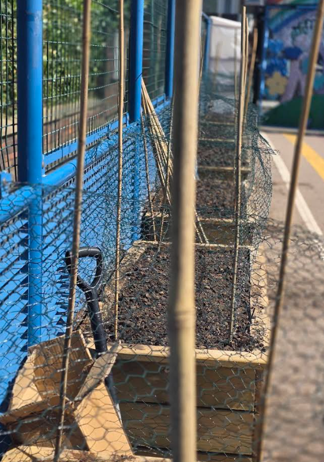 JessopPrimary's tweet photo. Excellent work on the protective coverings at Dad's/kids club last weekend.  Thank you to all! https://t.co/vZt3BRLuhW