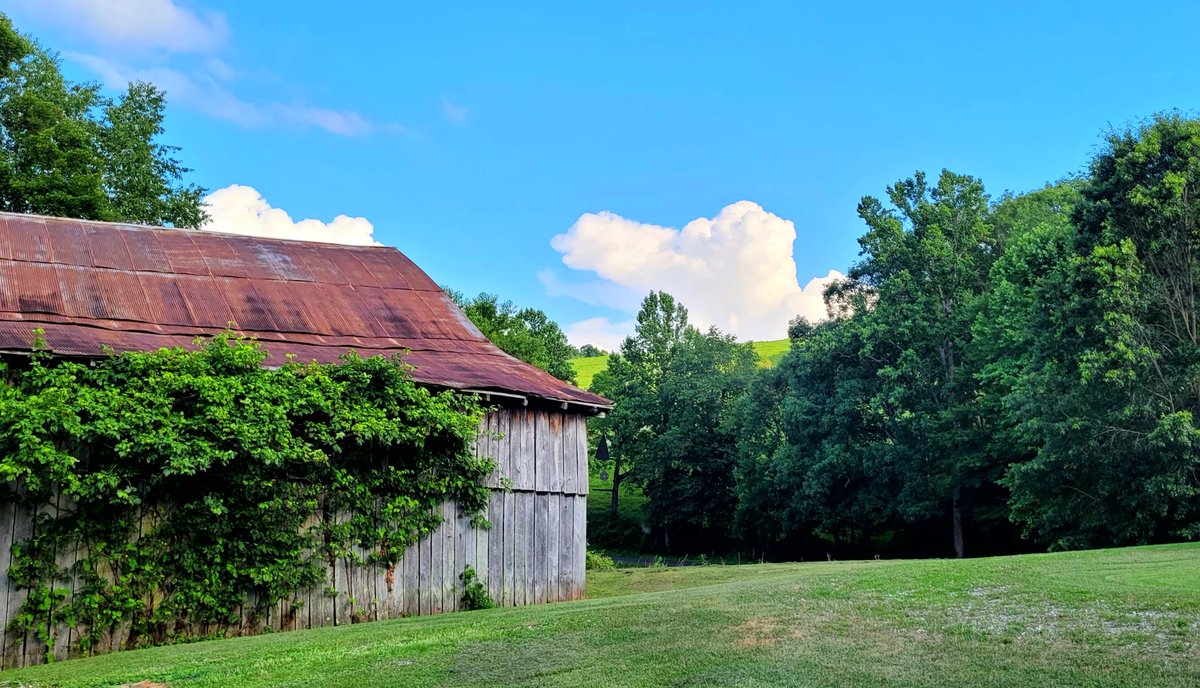 longhunter09's tweet photo. "Soon after, I returned home to my family with a determination to bring them as soon as possible to live in Kentucke, which I esteemed a second paradise, at the risk of my life and fortune"

-Daniel Boone https://t.co/MieZJnquL8