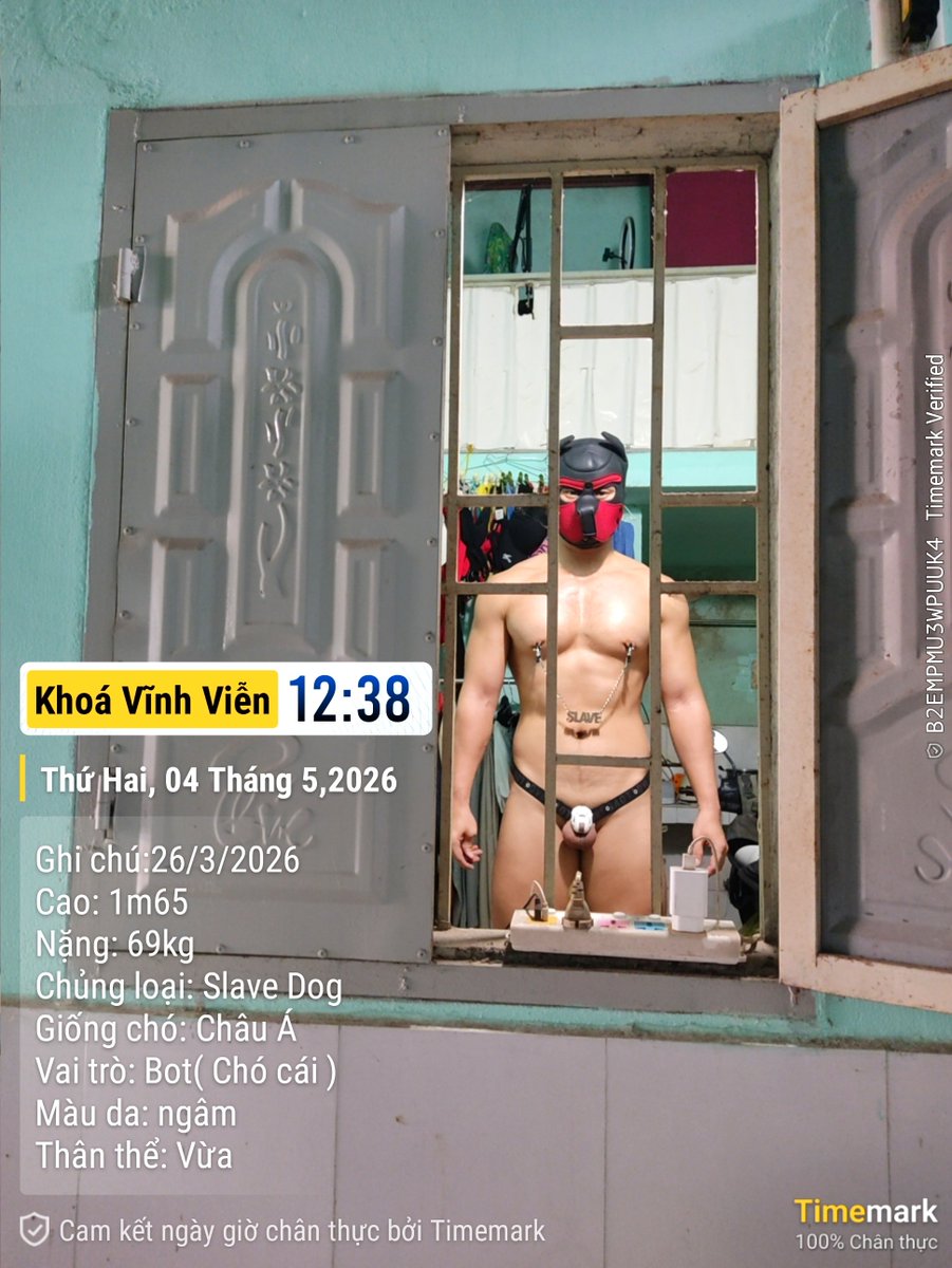 Dog Mưng 🐶 (SLAVE DOG OF SHIN) tweet media