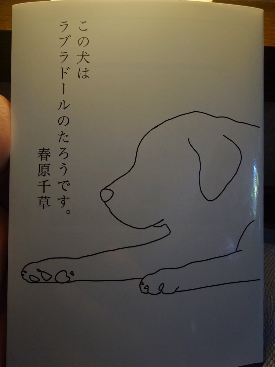 Tomoya. tweet media