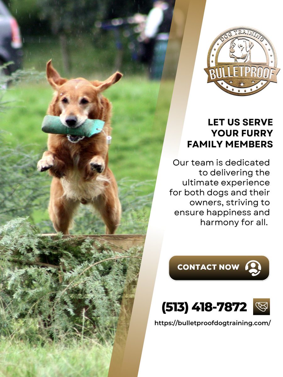 BulletproofDog_'s tweet photo. Our dog obedience training builds reliable commands and better listening skills for everyday life. We make training simple and effective. Book us to experience the difference. #DogObedienceTraining #TrainSmart
https://t.co/FHd0kZOJCa https://t.co/tONQfMGF3S