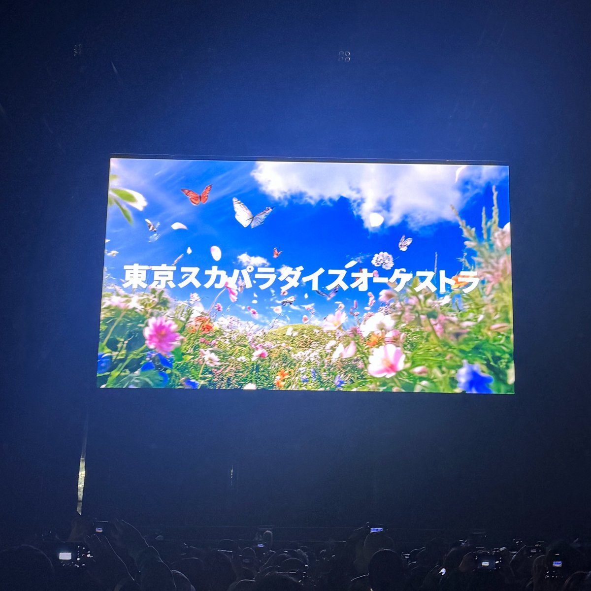 きょんちゃん！ tweet media