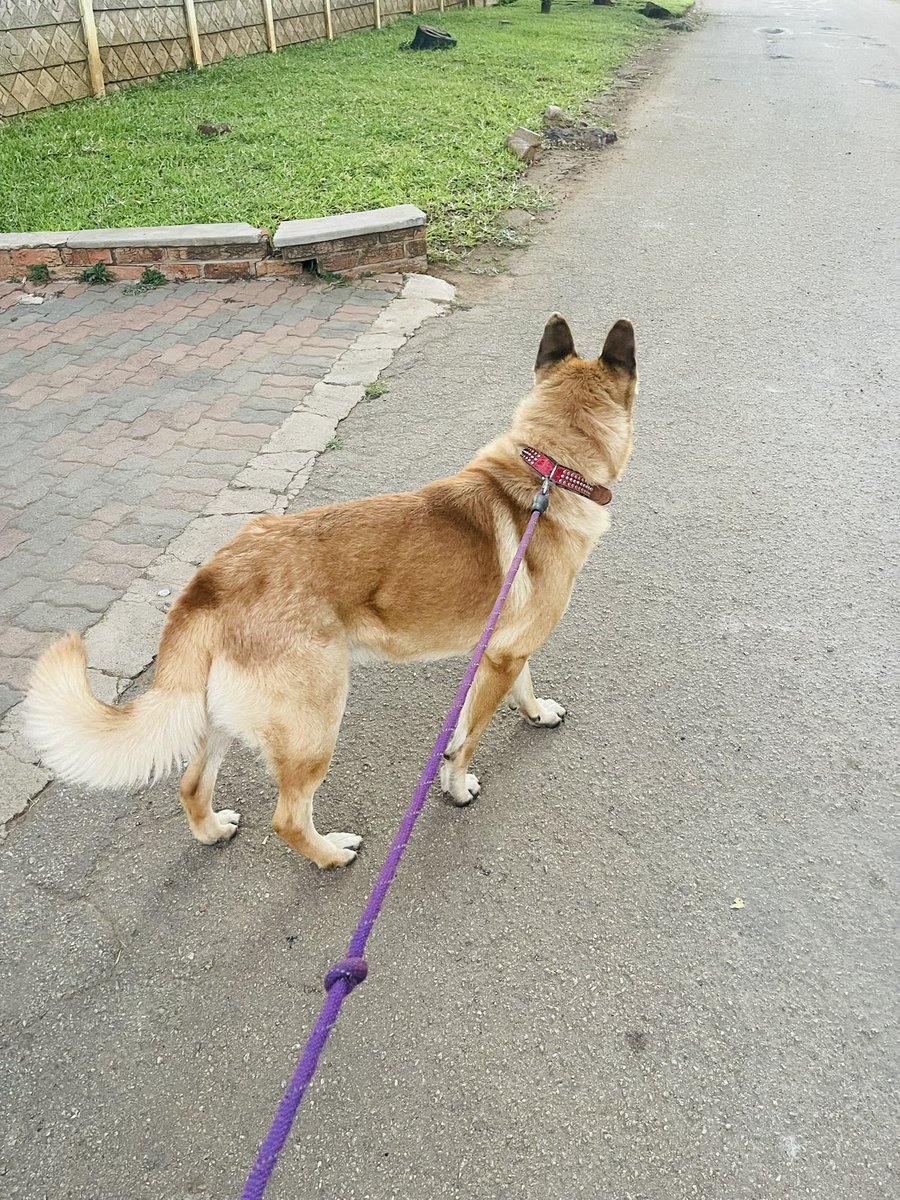 DillenMasawi's tweet photo. Taking a walk with your dad right now https://t.co/ajRWe2cU7M