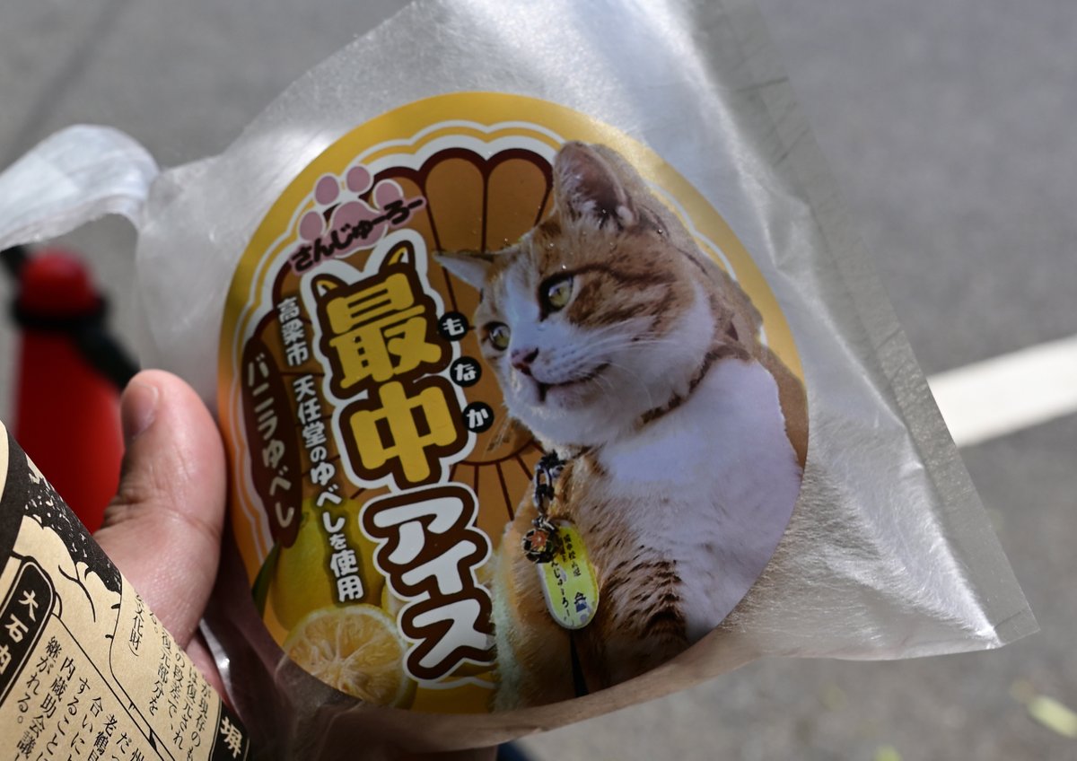 コウキ tweet media