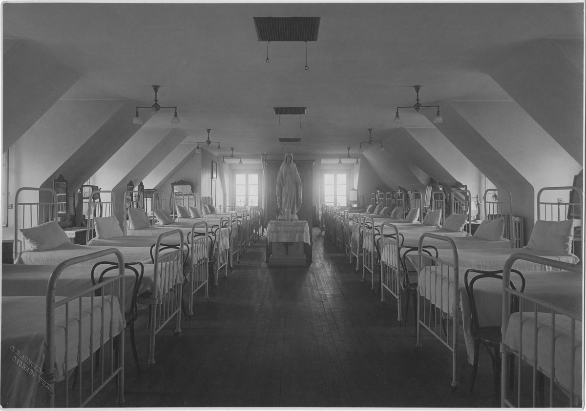 UTSW Special Collections Library & Archives tweet media