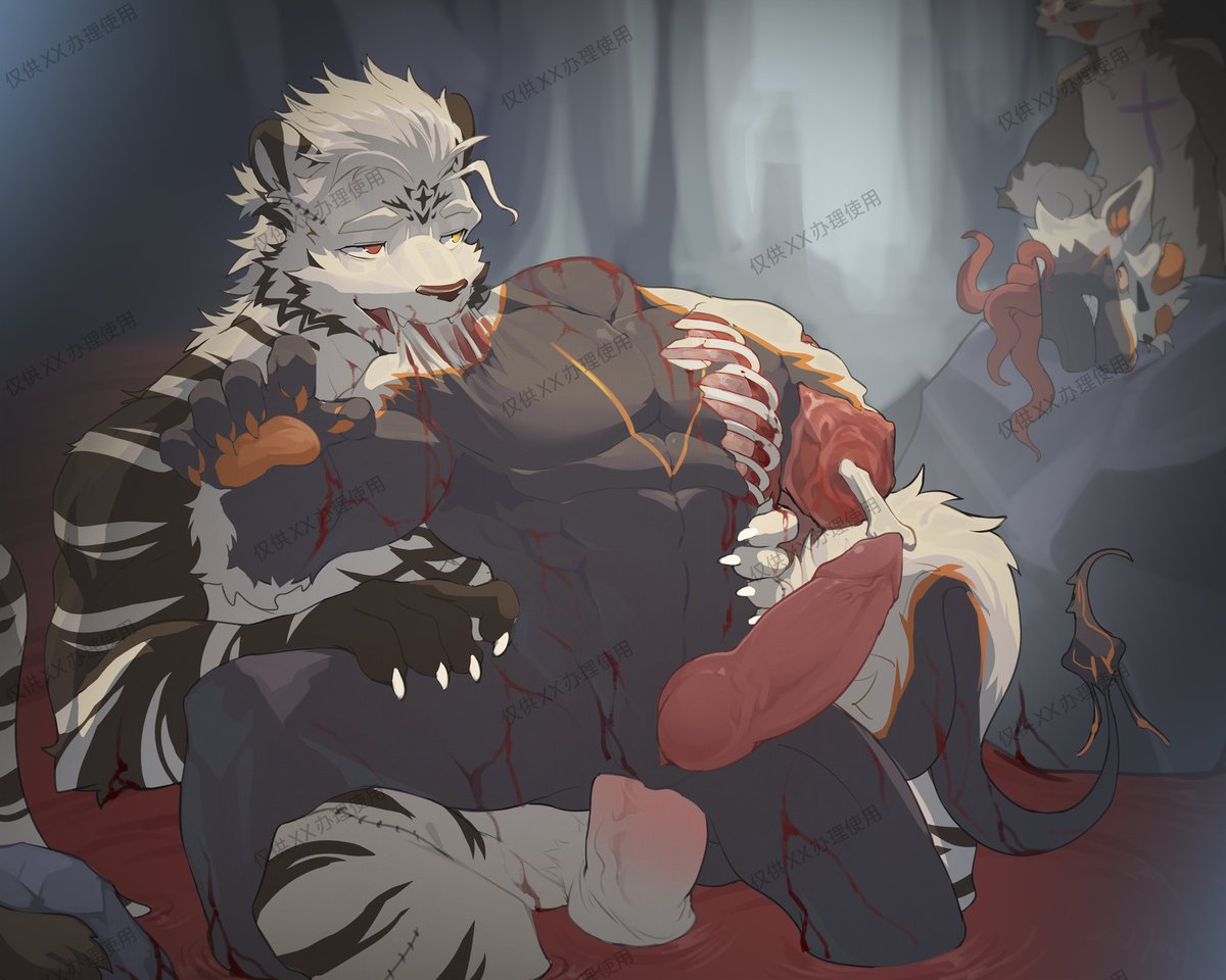 戮祁泽 tweet media