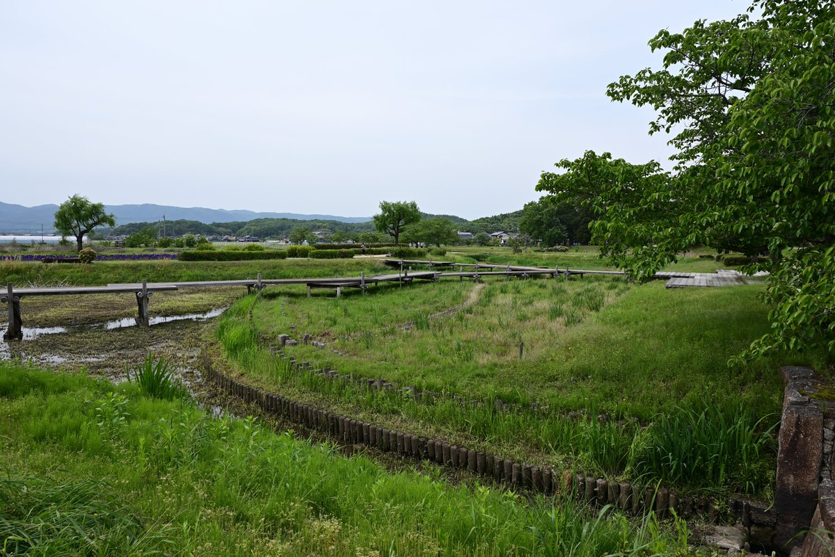 コウキ tweet media