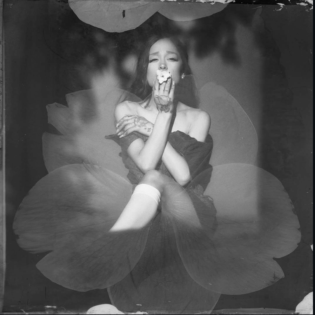 Ariana Grande Brasil tweet media