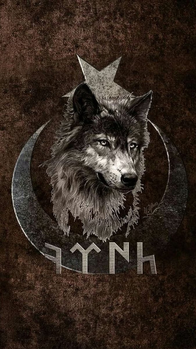 Türk🇹🇷𐱅𐰇𐰼𐰰🇹🇷͜͜͡͡✯ tweet media