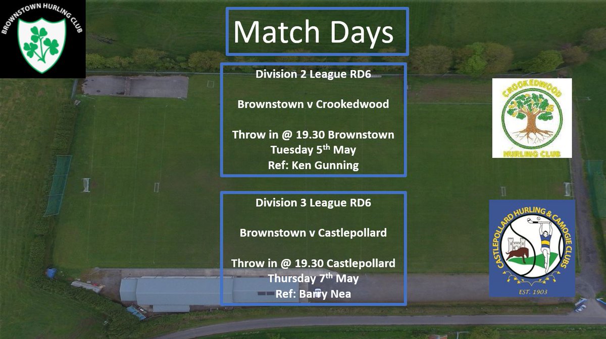 Brownstown Hurling Club tweet media