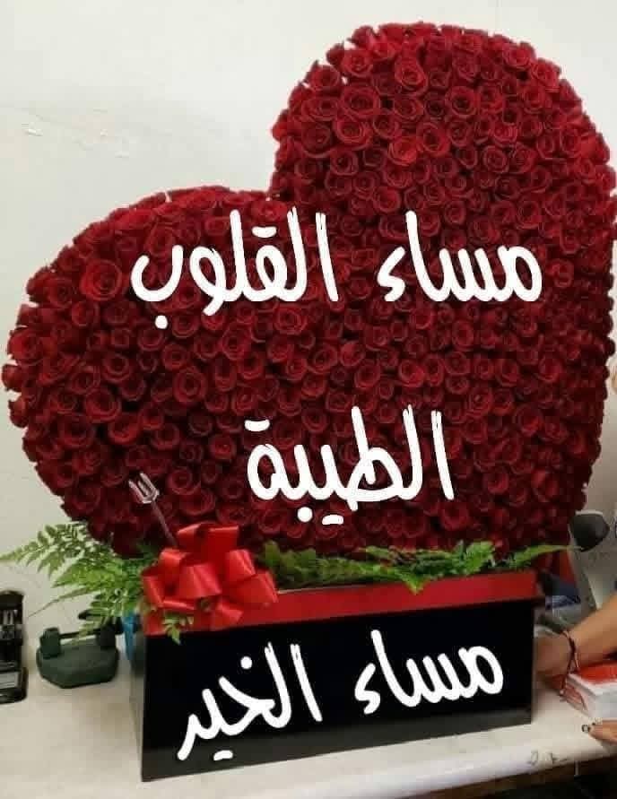 💕🇪🇬 فارس🇸🇦💕 tweet media