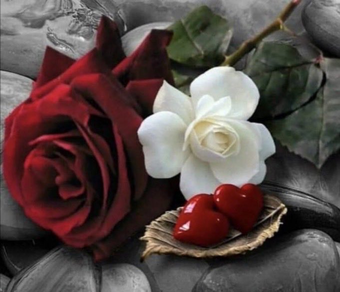 (رعد الجنوووب)❣️ tweet media