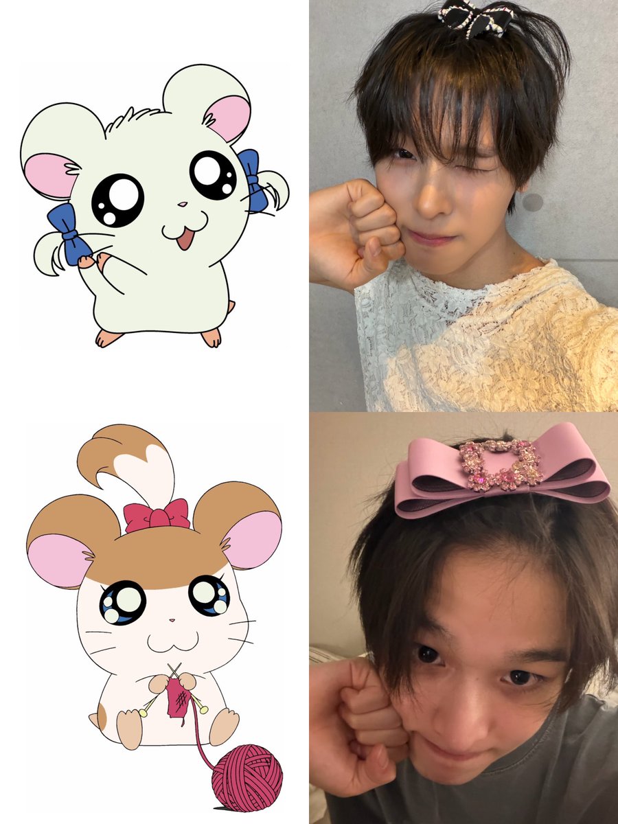 코이 tweet media