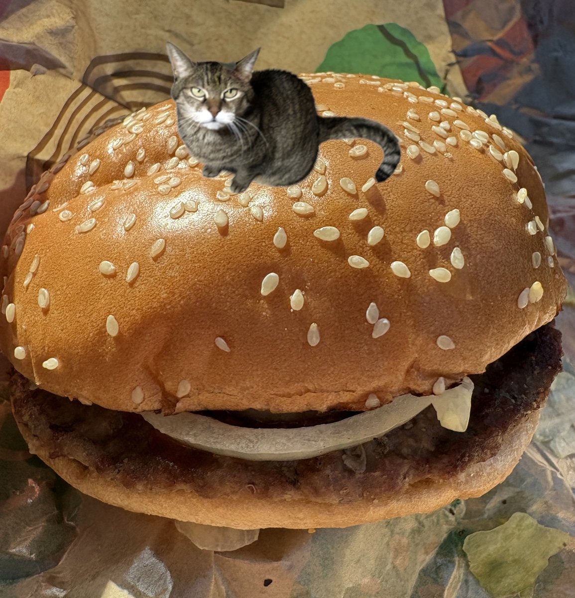 今日は皆様待望はずのグルメ回ですーー！！
ついに手に入れたバーガーキング！！
思わずトリッシュ、ゆっくりとこっちに来るんだ！と忠告したくなる程の大きさ！
うちの子と比べても巨大すぎる！！！
そして肝心の食レポはーーーーーUMAI！！！！！

一味違うのでWAAAANNABEEEEEですーーーー😄😄😄