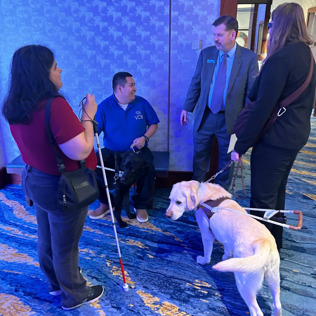 NatIndBlind's tweet image. May is National Guide Dog month! 🐾

We celebrate the incredible guide dogs and assistance dogs who make independence possible for people who are blind, low vision, or visually impaired. 

#NIB #NationalDogDay #GuideDog #AssistanceDog