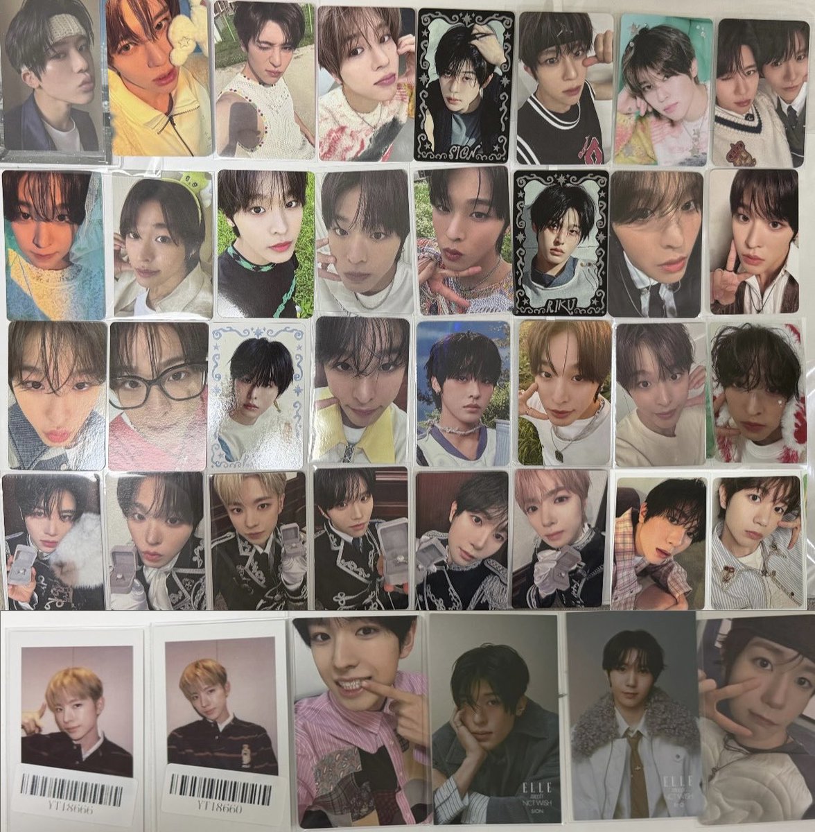 야옹⩌⩊⩌ tweet media