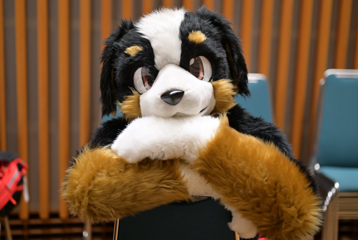 Bernese_Classe's tweet photo. https://t.co/1ajQj0paUU