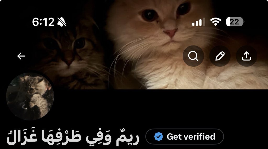رِيمٌ وَفِي طَرْفِهَا غَزَالُ tweet media