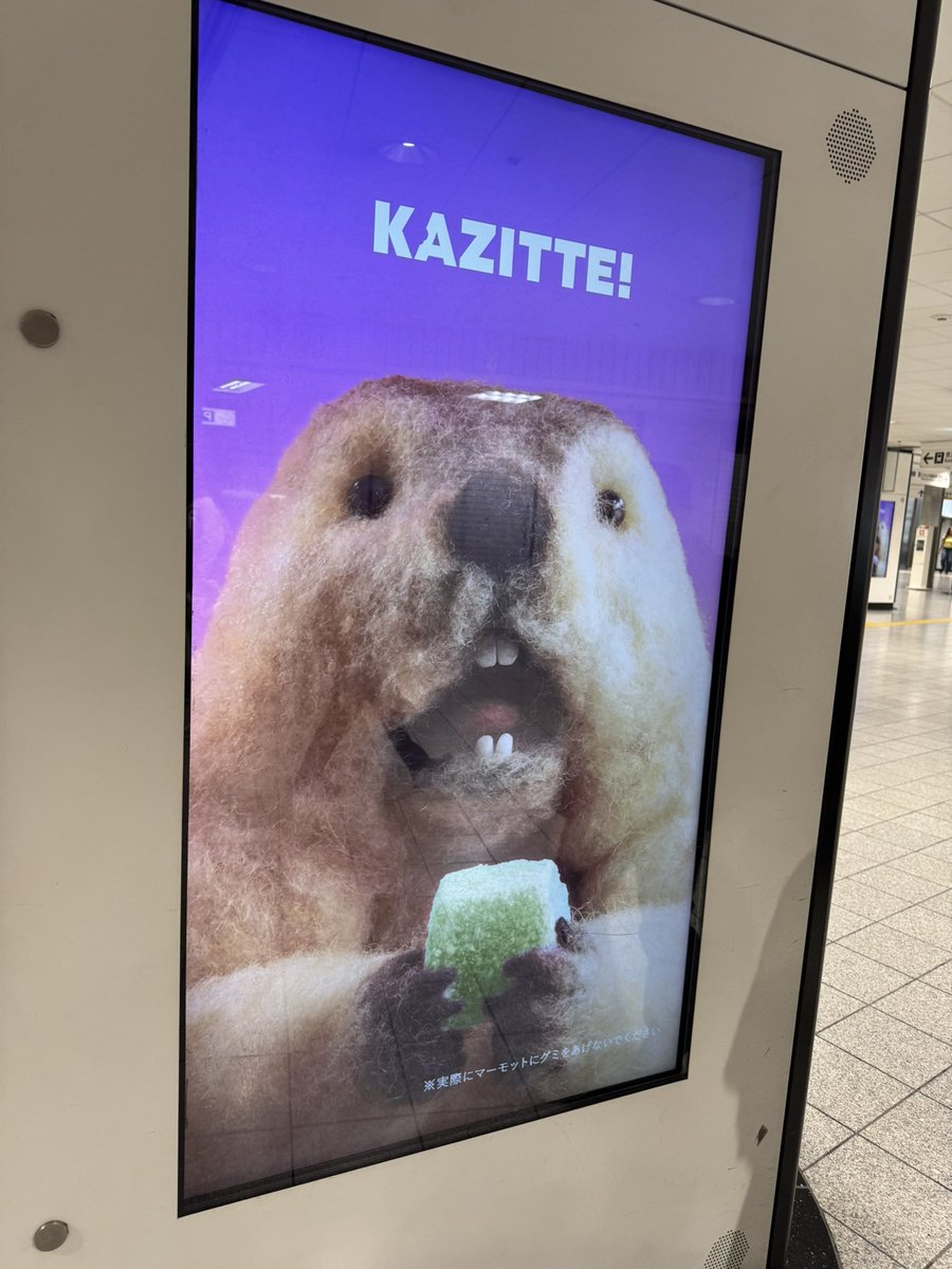 muratchi56561's tweet photo. かじりてー！
#KAZITTE! https://t.co/Jknlo7Oc7w