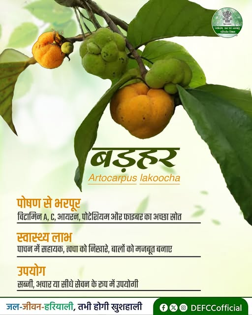 Raj Kumar Jha tweet media