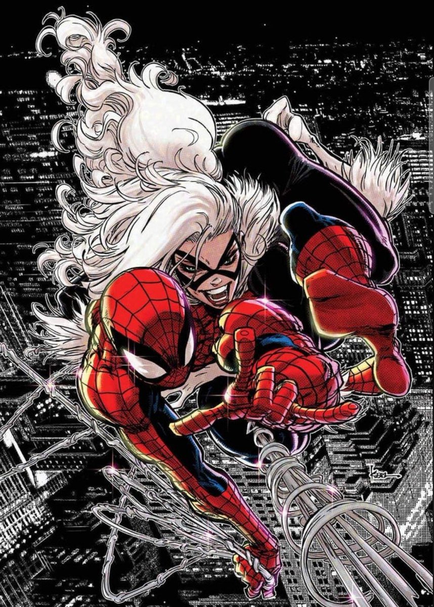 Spider-Man x Black Cat tweet media
