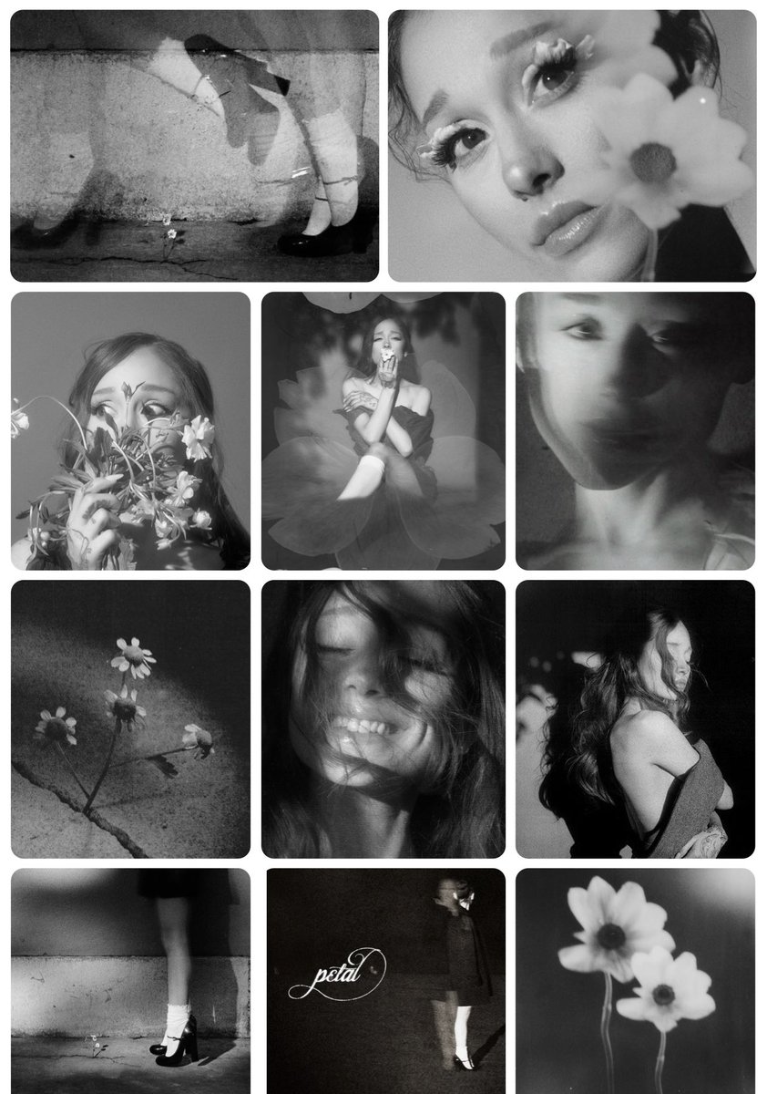 The petal aesthetic ꕤ