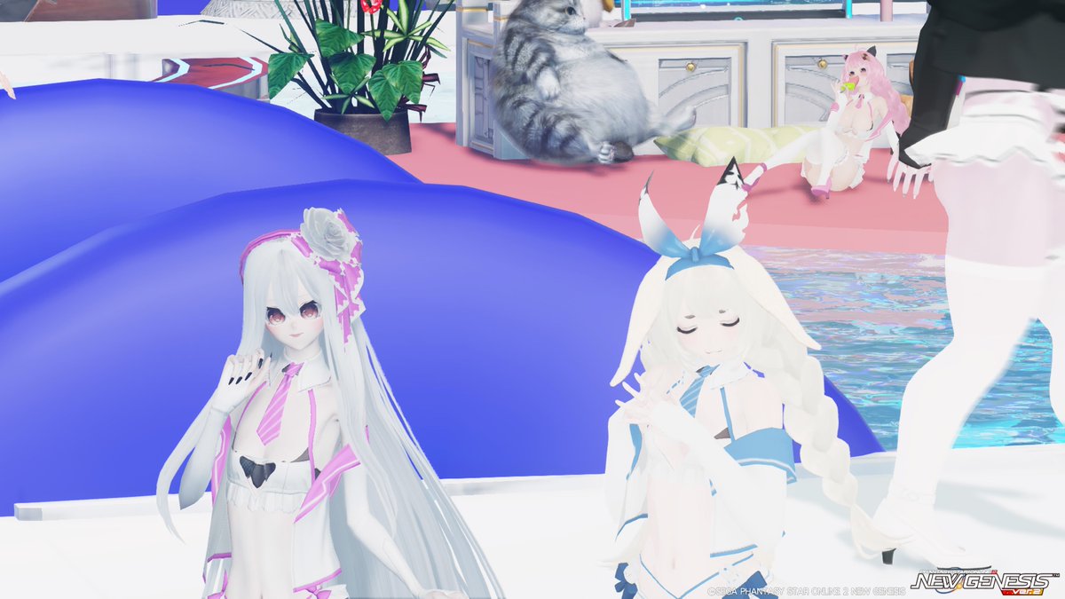 安どぉなつ。PSO2垢@ハガル tweet media