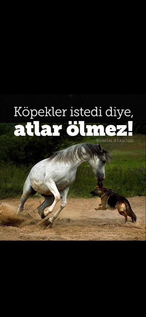 Emrah Tekinalp tweet media