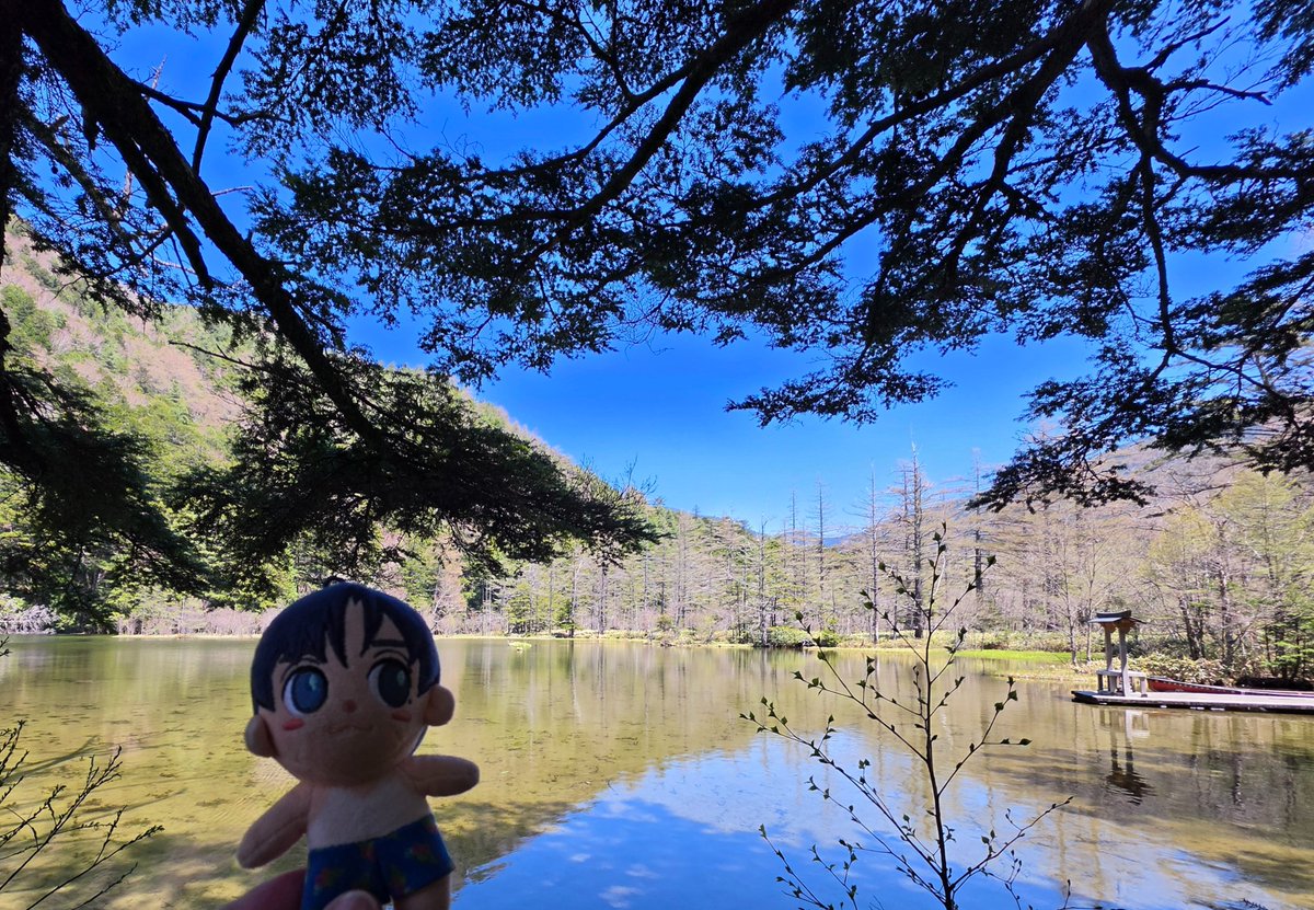 peileyl's tweet photo. 因为爱知#3LOGY 取消了，昨天又买不到帅气的迷你容，所以今天只能带着夏威夷风的迷你容来上高地步行。
(感觉迷你容随时都会跳进水里🏄‍♂️）

@JYHeffect  🎶ring ring ring my bell

#CNBLUE #3LOGY
#씨엔블루 #JUNGYONGHWA
#정용화 #郑容和 #RING https://t.co/WLWmPU82zd