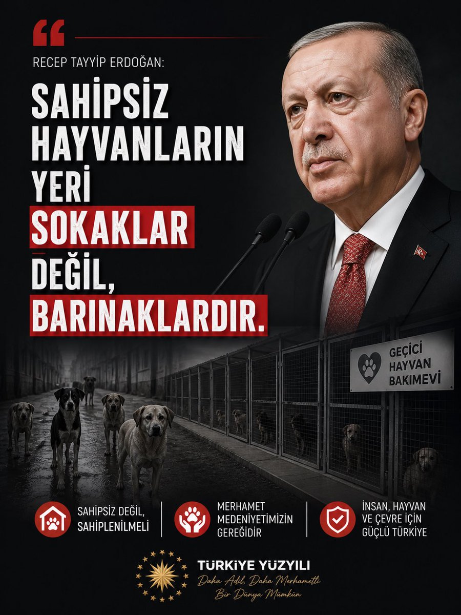 KimNeDiyor tweet media