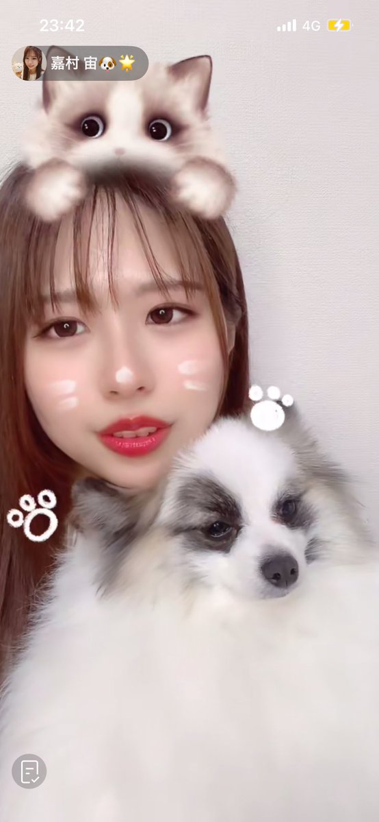 🐶ユキ🌟 tweet media