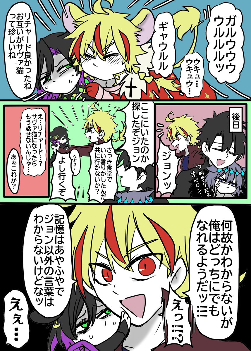 サヴァ猫内1のイレギュラー 
