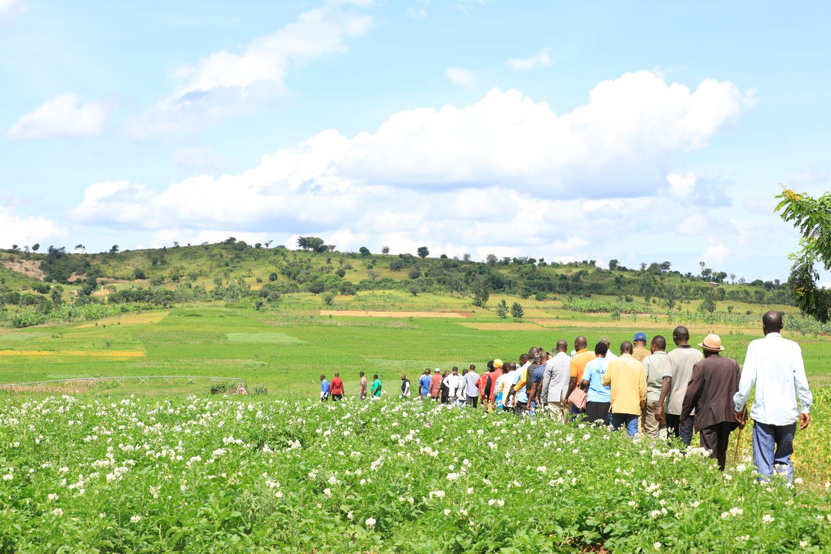 Kirehe District tweet media