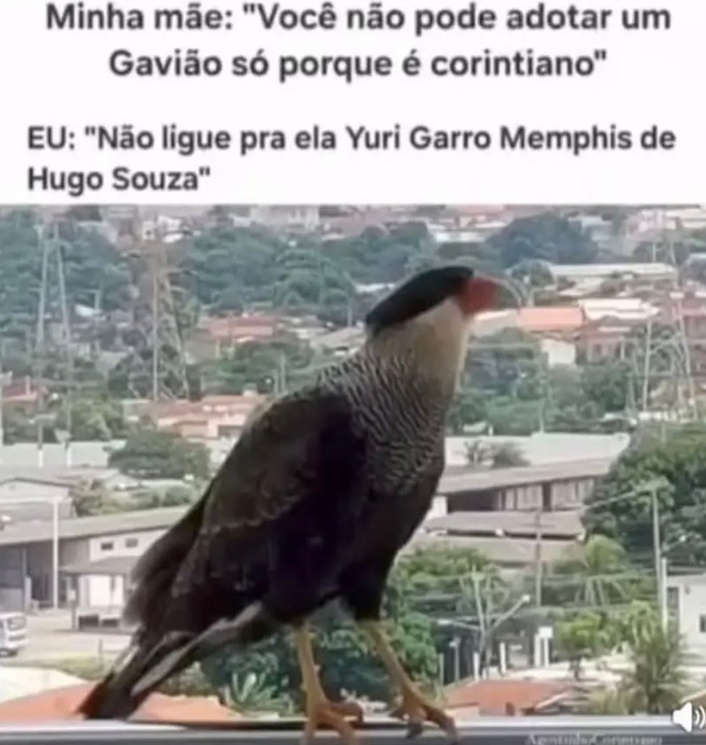 Central do Cortinas tweet media