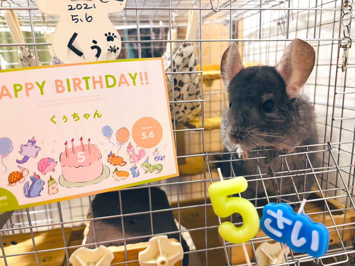 くぅちゃん🐭💎と🦆🦊 tweet media