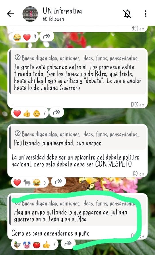 Majo Romero tweet media