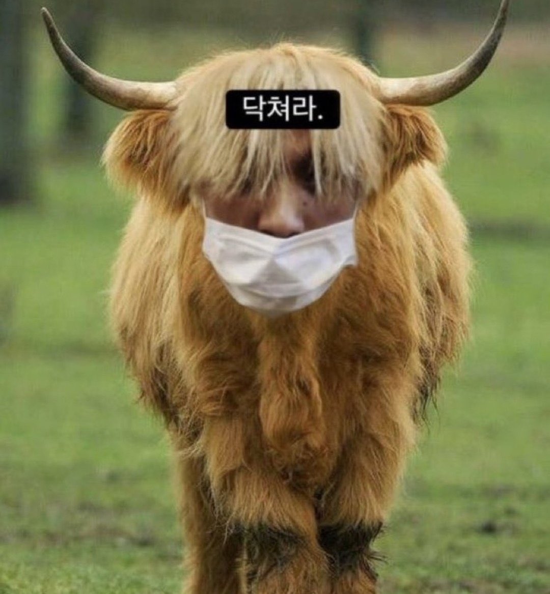 아웅이 tweet media