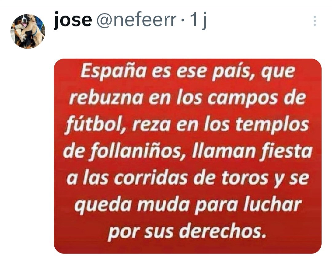 j blasco🇧🇪🇪🇸 tweet media