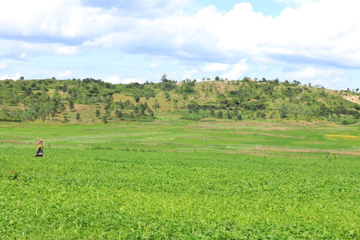 Kirehe District tweet media