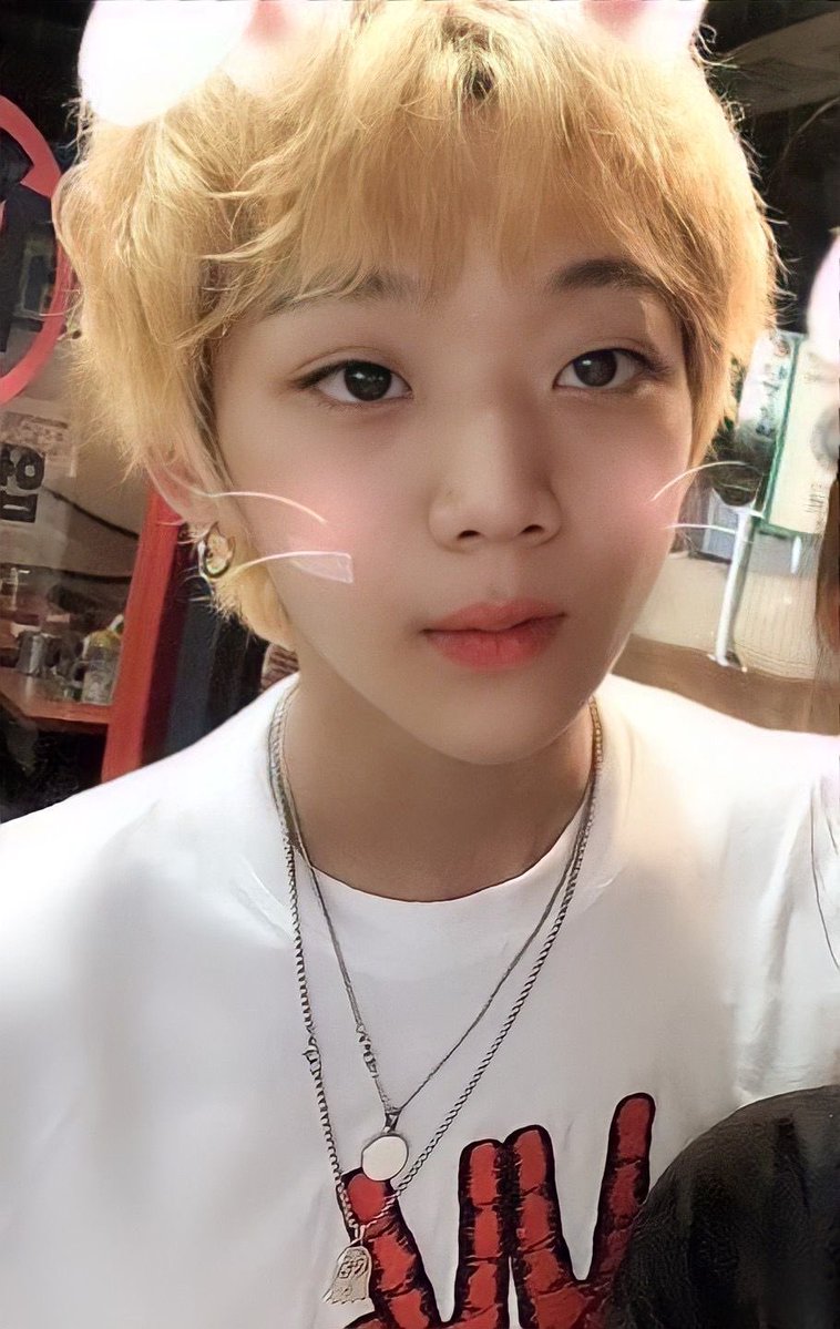 구룡포3만원 tweet media
