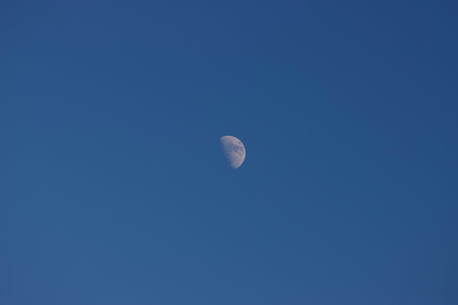 Patrick Liu tweet media