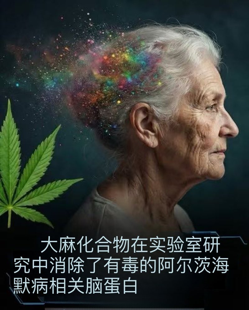 宇峒 tweet media