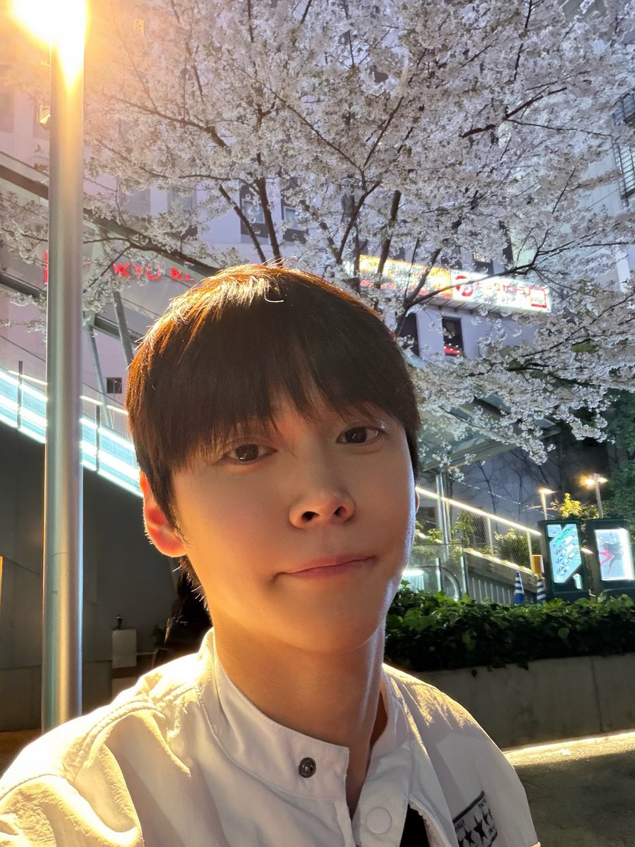 띠링 tweet media