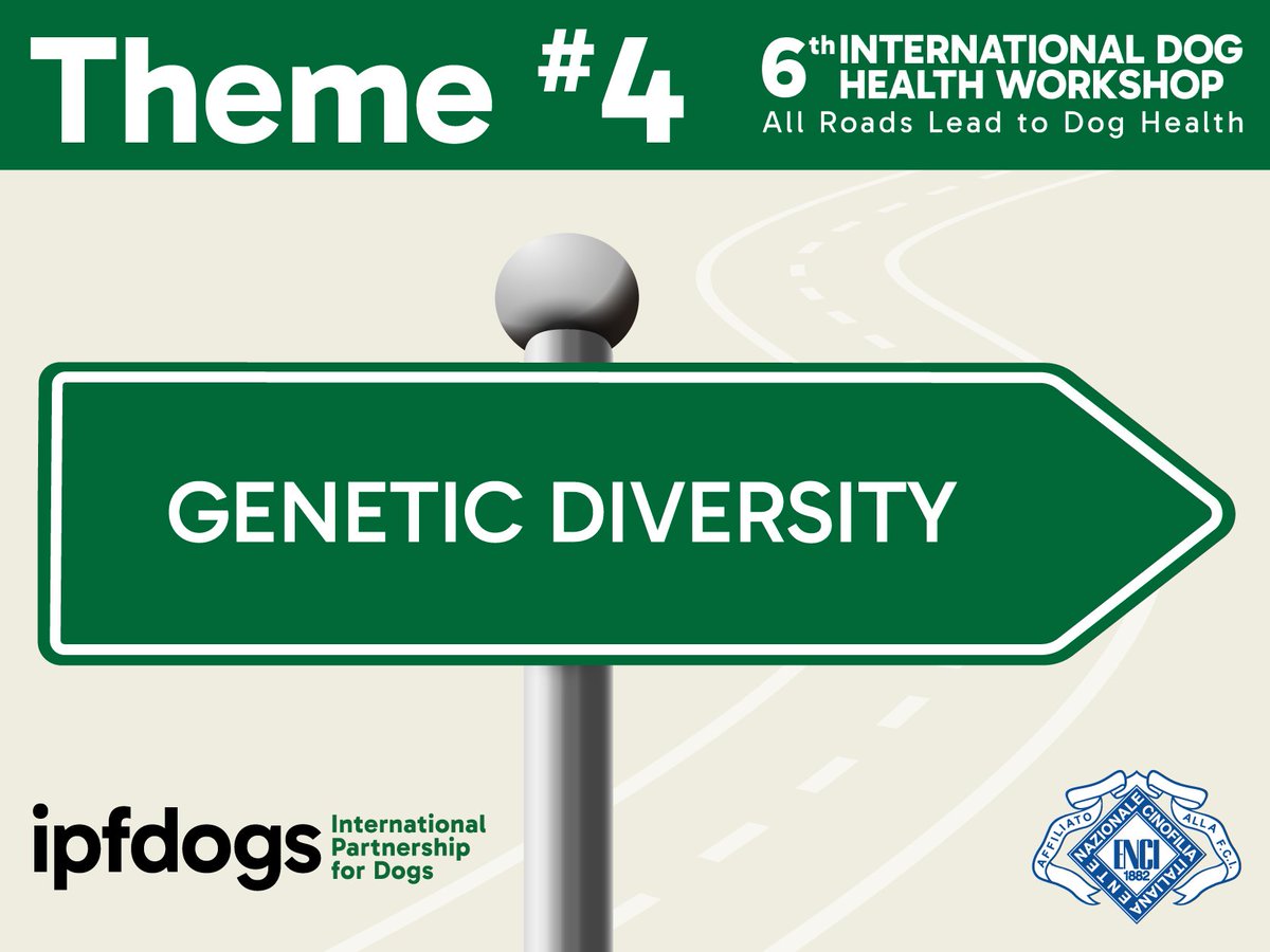 The International Partnership for Dogs (IPFDogs) tweet media