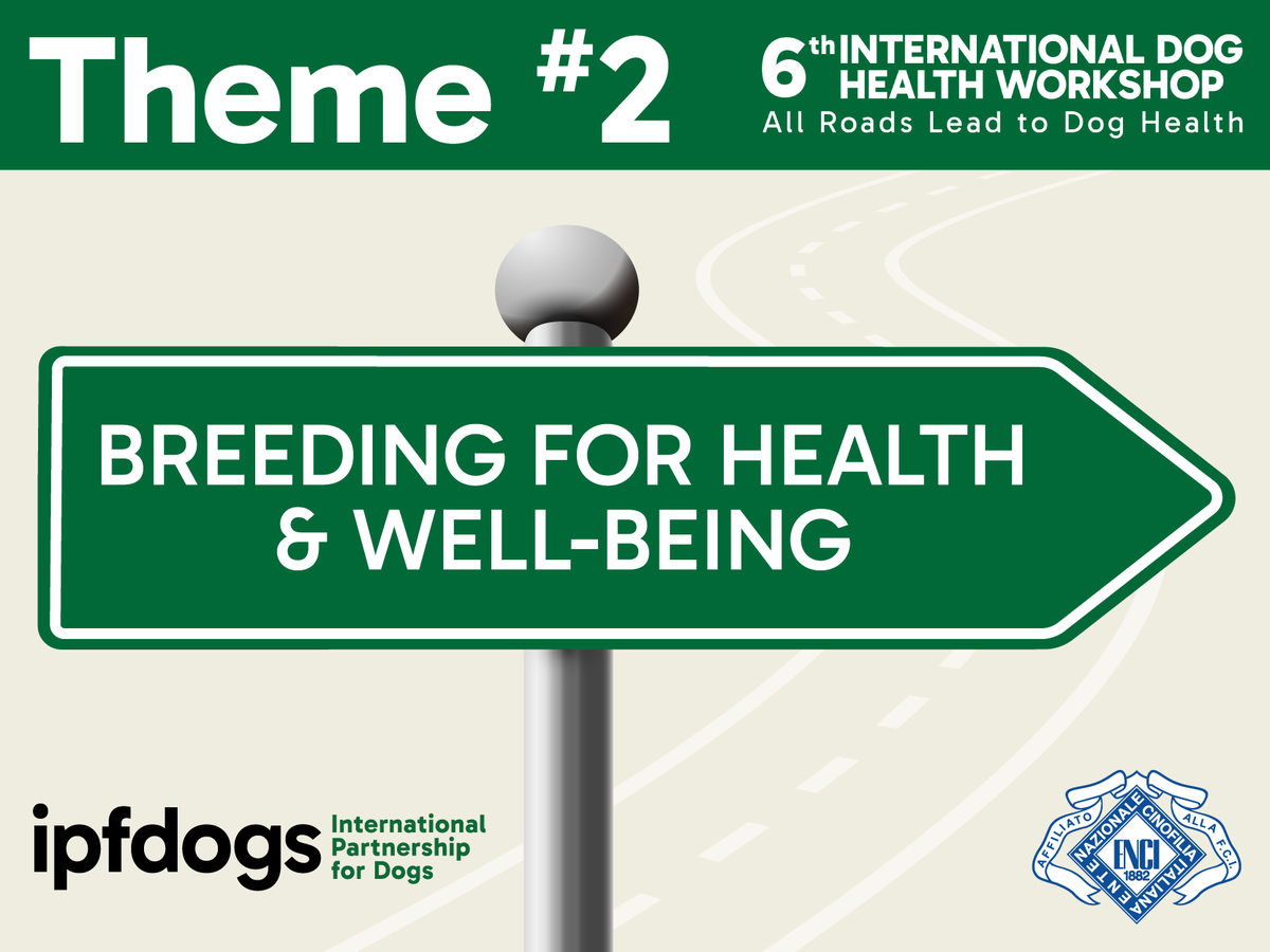 The International Partnership for Dogs (IPFDogs) tweet media