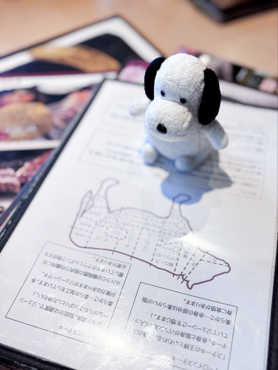 やめぴ (@yamekawaeee) / Posts / X
